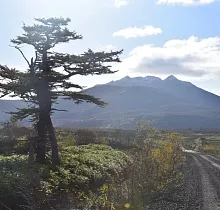 ополнительное фото тура 