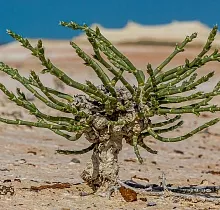 ополнительное фото тура 