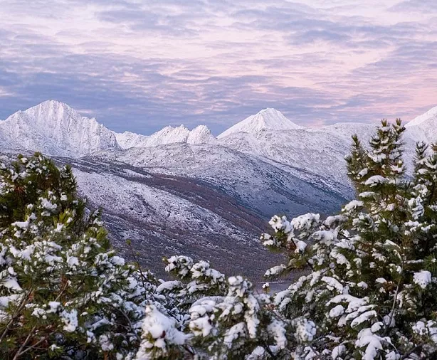 Изображение статьи Колыма: Озеро Джека Лондона. Как добраться, что посмотреть туристу. Туры России