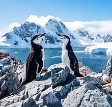 ополнительное фото тура 