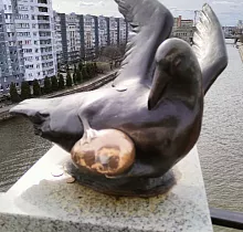 ополнительное фото тура 