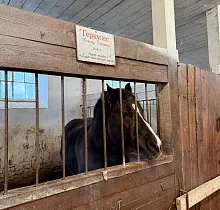 ополнительное фото тура 