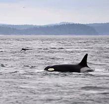 ополнительное фото тура 