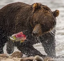 ополнительное фото тура 