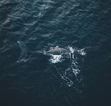 ополнительное фото тура