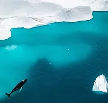 ополнительное фото тура 