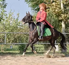 ополнительное фото тура 