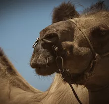 ополнительное фото тура 