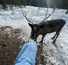 ополнительное фото тура 