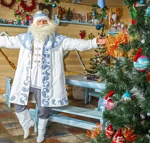 Новогодние каникулы в Костроме: как мы попали в сказку к Деду Морозу