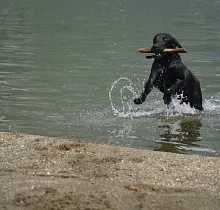 ополнительное фото тура