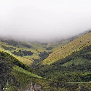 Фото отзыва