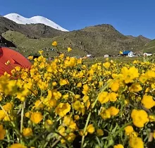 ополнительное фото тура 