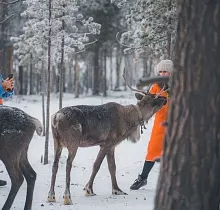 ополнительное фото тура