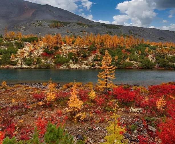 Изображение статьи Колыма: сплав и рыбалка по р. Большая Купка, Магаданская область Туры России