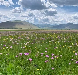 Тур Баллада об Ольхоне и Листвянке. Иркутск – Листвянка – Ольхон – Иркутск. 