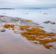 ополнительное фото тура 