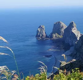 Тур Бархатное Приморье. Весь край за 10 дней. Лучшее время. Заповедники, тигры, море.