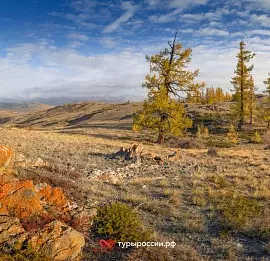 Тур Алтайская кругосветка