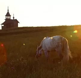 Тур Тур на июньские праздники в Карелию