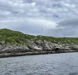 Тур Баренцево море: каякинг к Ура - Ара - Кольскому фьорду