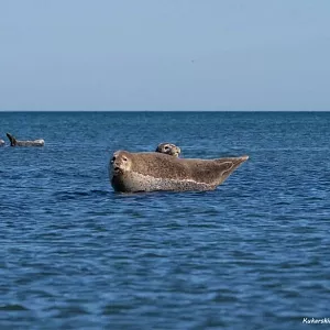 Фото отзыва