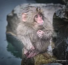 Фото дня 5 тура ПОЛНЫЙ ТУР ПО ЯПОНИИ 15 ДНЕЙ