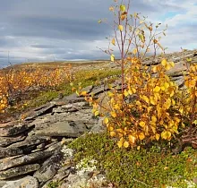 ополнительное фото тура 