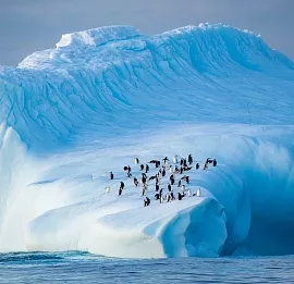 Тур Антарктида: 10 дней на станции Беллинсгаузен. Научный кемпинг.