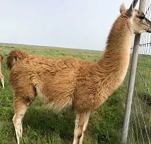 ополнительное фото тура 