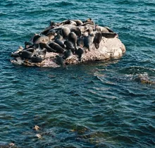 ополнительное фото тура 