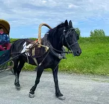 ополнительное фото тура 