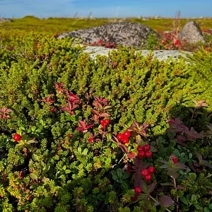 Фото отзыва