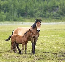 ополнительное фото тура 