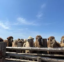 ополнительное фото тура