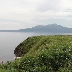 Фото отзыва