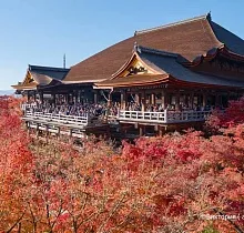 Фото дня 9 тура ПОЛНЫЙ ТУР ПО ЯПОНИИ 15 ДНЕЙ