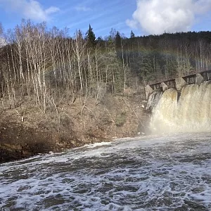 Фото отзыва