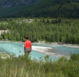 Тур Тропы и дороги Алтая