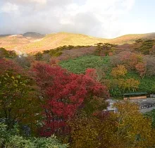 ополнительное фото тура 