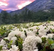 ополнительное фото тура 