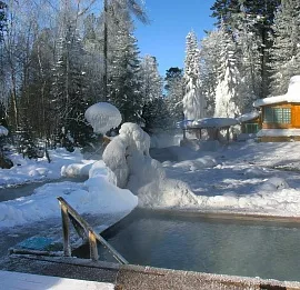 Тур По Байкалу на собачьей упряжке