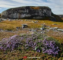 ополнительное фото тура 
