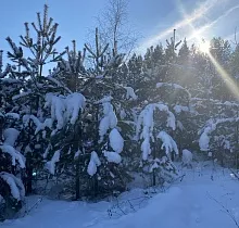 ополнительное фото тура 