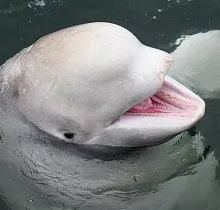 ополнительное фото тура 