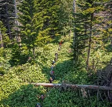 ополнительное фото тура 