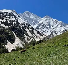 ополнительное фото тура 