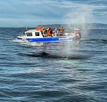 ополнительное фото тура 