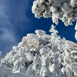 Фото отзыва