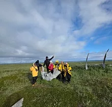 Фото дня 4 тура Наблюдение за промыслом, Мыс Дежнева